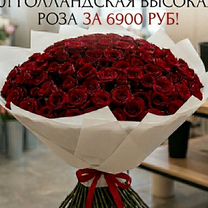 101 голландская высокая Роза, Москва