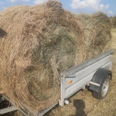 Продам сено в рулонах
