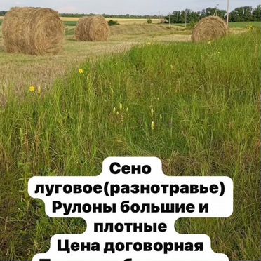 Сено в рулонах