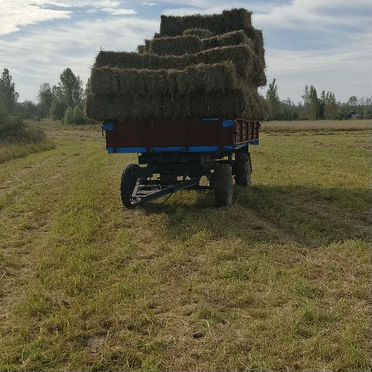 Товары для животных, сено в кипах разнотравье