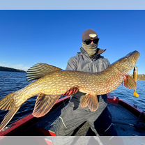 Трофейная рыбалка с гидом, Светогорск