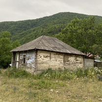 Дом (Южная Осетия), Дзау