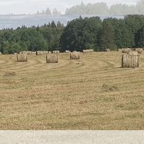 Солома, Балезино