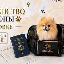 Анализ на титры бешенства Горловка, Горловка
