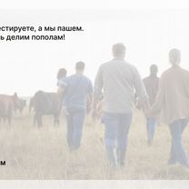 Агентство для колхозников в городе Северодонецк, Северодонецк
