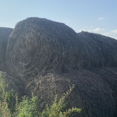 Сено